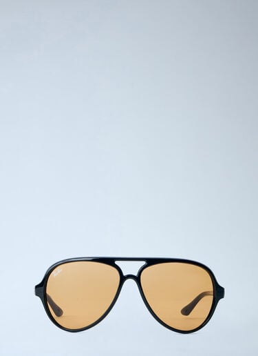 Cats 5000 Classic Summer Sunglasses Ray-Ban Cats 5000 Classic Summer Sunglasses Orange lrb0364002
