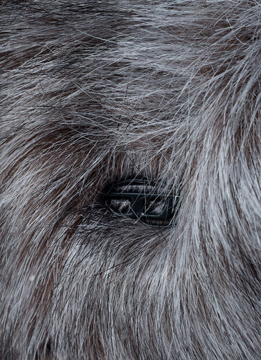 Faux Fur Play Handbag Diesel Faux Fur Play Handbag Brown dsl0262014