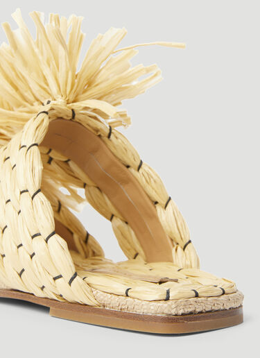 Dries Van Noten Fringe Embellished Raffia Slides Beige dvn0255001