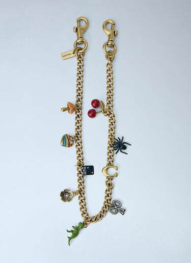 LN-CC® - Coach: Chain Strap With Charms - Gold Coach Chain Strap With Charms Gold coa0266016