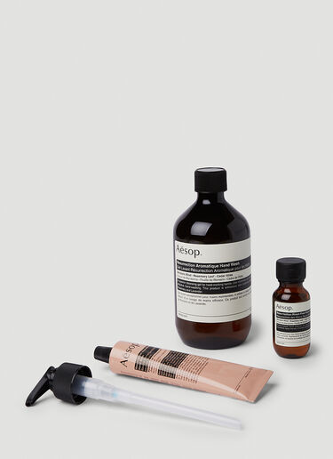 Aesop Industrious Hand Care Trio Kit Brown sop0351004