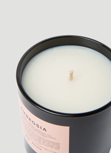 Boy Smells Ambrosia Candle Black bys0354001