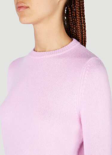 Sportmax Maga 毛衣 粉色 spx0251012