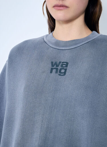Alexander Wang Essential Classic Sweatshirt Grey awg0259023