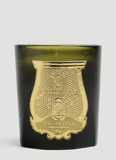 Cire Trudon Odalisque Candle Green wps0644243