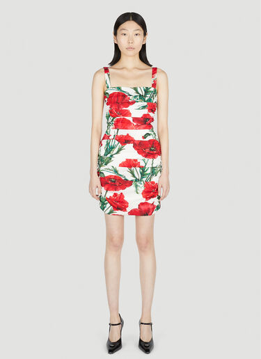 Dolce & Gabbana Poppy Print Dress Red dol0251010