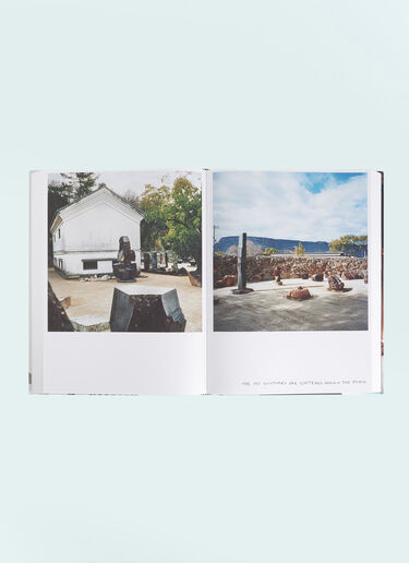 Rizzoli International Publications François Halard 3: New Vision Book White wps0691288