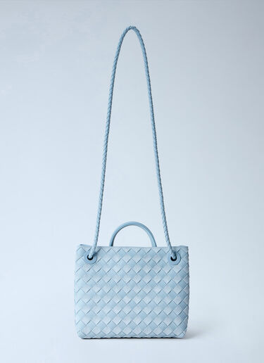 LN-CC® - Bottega Veneta: Small Andiamo Handbag - Light Blue Bottega Veneta Small Andiamo Handbag Light Blue bov0266012