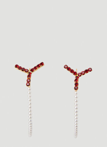 Y/Project Maxi Y Crystal Hoop Earrings Red ypr0248012