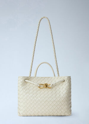 Bottega Veneta Medium Andiamo Handbag Beige bov0262048
