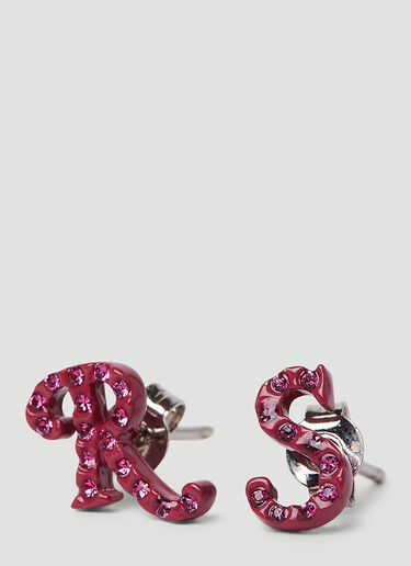 Raf Simons R + S Earrings Pink raf0250023