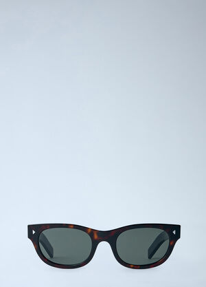 Prada 0PR C09S Sunglasses Brown lpr0364001