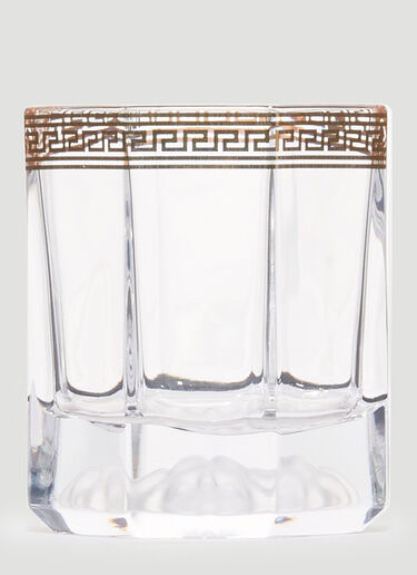 Rosenthal Set of Two Medusa d'Or Whisky Glasses Transparent wps0690133