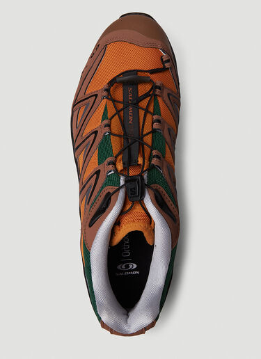 Salomon XT-Quest 75th 运动鞋 棕 sal0150004