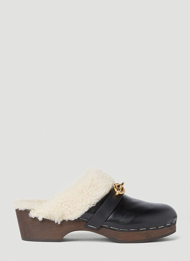 Saint Laurent Toff 15 Clogs Black sla0349001