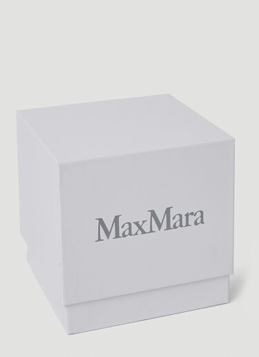 Max Mara Fluffy Coat Candle Brown max0250091