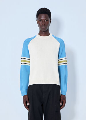 Stüssy Stripe Raglan Crewneck Sweatshirt Blue sts0164031