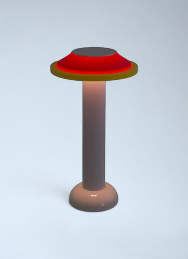 SOWDEN PL2 Portable Lamp Pink wps0691795
