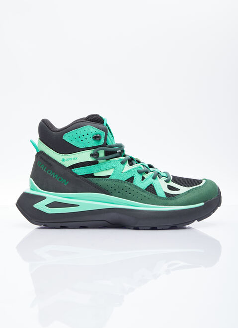 Salomon Odyssey ELMT Mid Gore-Tex Green sal0354008