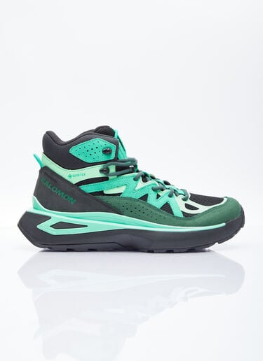 Odyssey ELMT Mid Gore-Tex Salomon Odyssey ELMT Mid Gore-Tex Green sal0154015