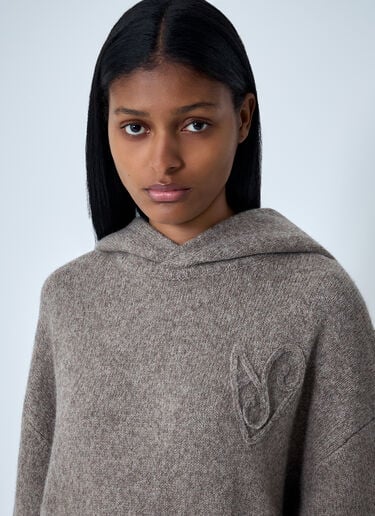 Embroidered Knit Hooded Sweater Acne Studios Embroidered Knit Hooded Sweater Beige acn0262007