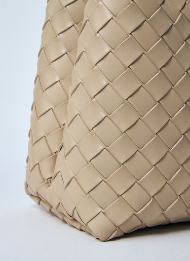 Bottega Veneta Medium Andiamo Handbag Beige bov0260014