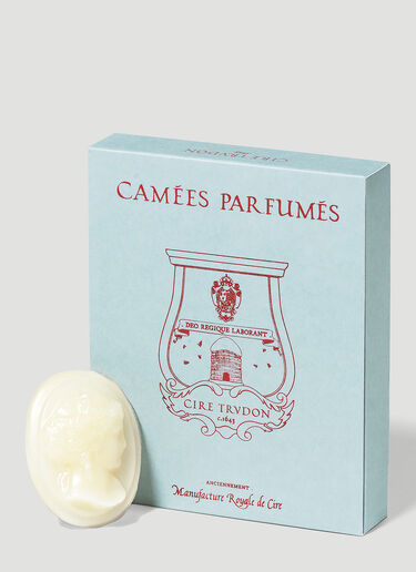 Abd El Kader Set Of Four Wax Cameos Trudon Abd El Kader Set Of Four Wax Cameos Pink wps0642114