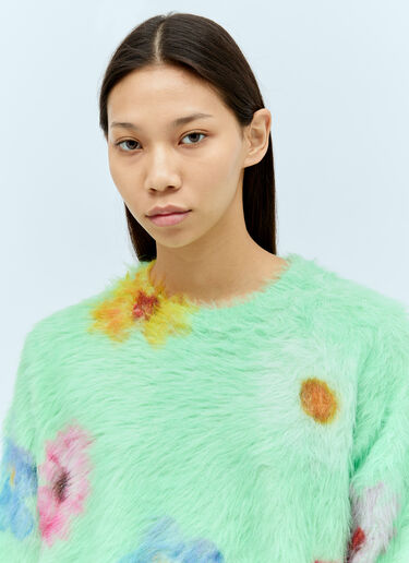 Acne Studios Printed Fluffy Sweater Green acn0256014