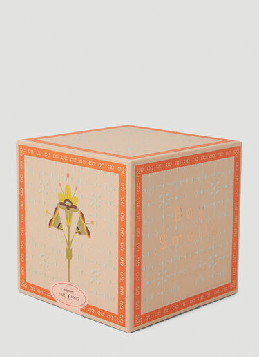 Boy Smells Holiday Collection Incensorial Magnum Candle Orange bys0351014