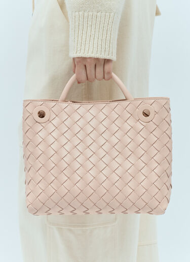 Bottega Veneta Small Andiamo Handbag Pink bov0255072