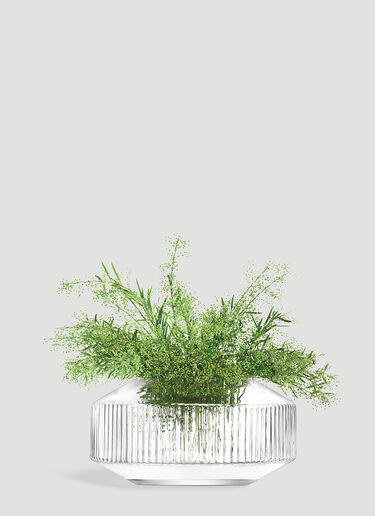 LSA International Rotunda Wide Vase Transparent wps0644394