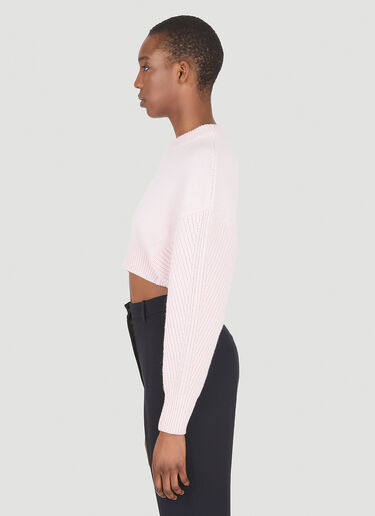 Alexander McQueen Ribbed Knit Sweater Pink amq0247015