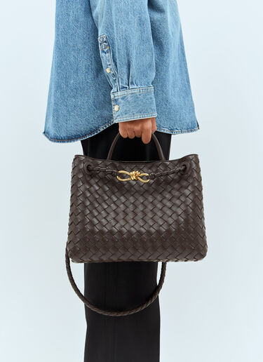 Bottega Veneta 中号 Andiamo 手提包 棕色 bov0254060