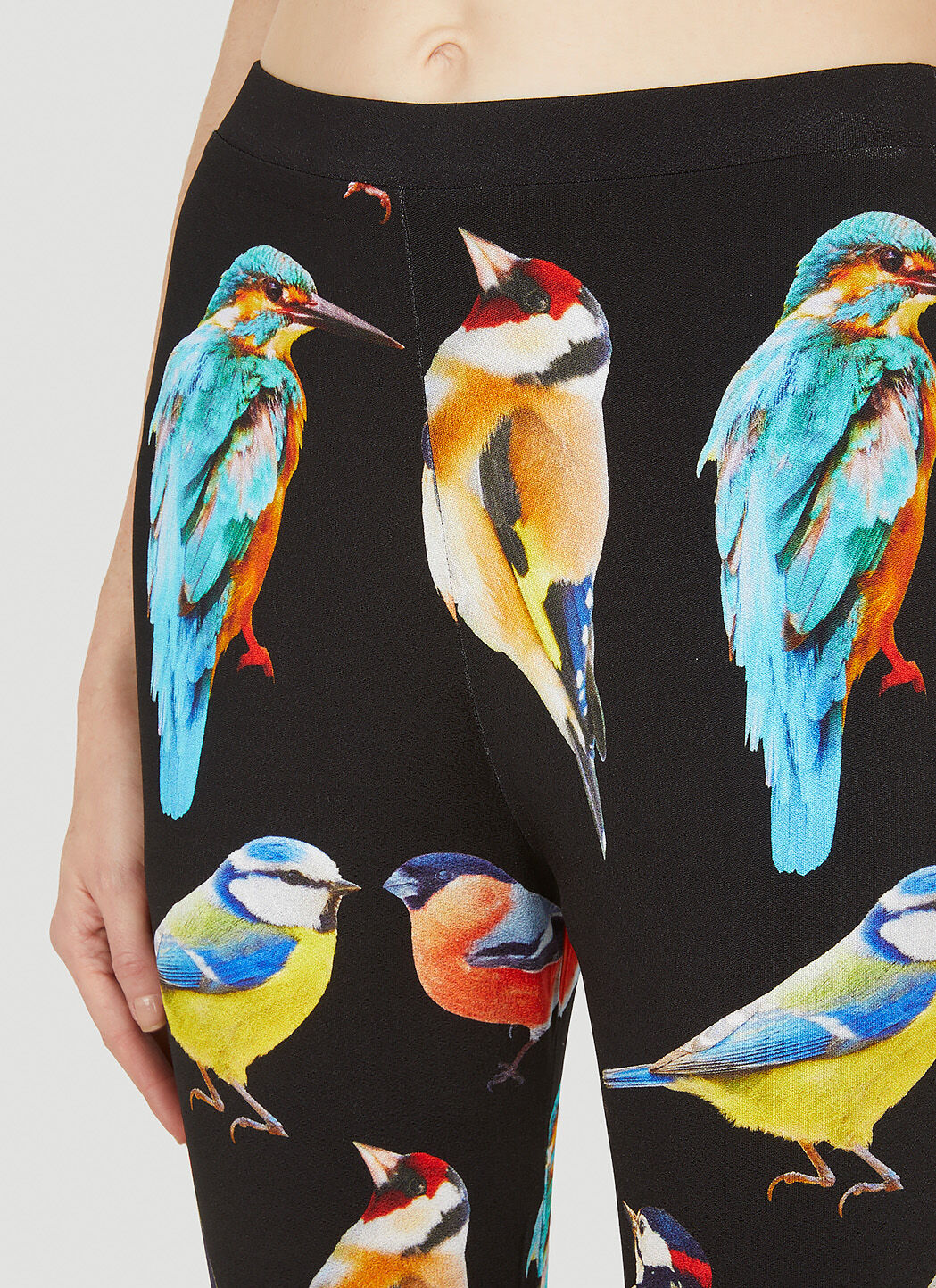 Stella McCartney Bird Print Pants in Black | LN-CC