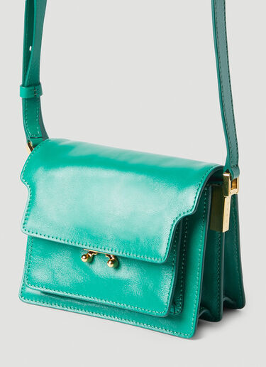 TRUNK SOFT mini bag in green and burgundy leather