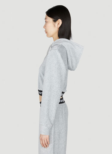 Alexander Wang Logo Hooded Sweatshirt Grey awg0251018