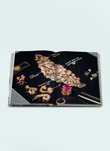 Assouline Bulgari: Beyond Time Multicolour wps0691684