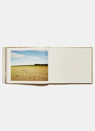 Books Something Like A Nest - Andy S Black don0590110