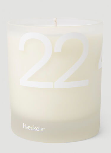 Haeckels St Johns Cemetery GPS 22'41"E Candle White hks0351009