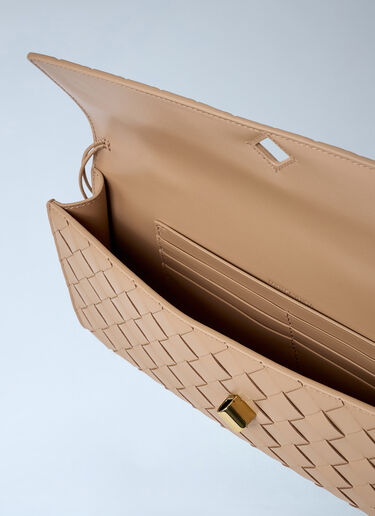 Bottega Veneta Andiamo 长款手拿包 米色 bov0262005