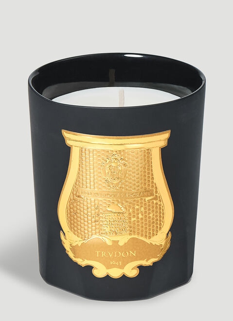 Cire Trudon Mary Candle Green wps0644249