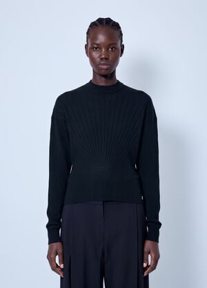 Sportmax Ribbed Knit Sweater Black spx0266004