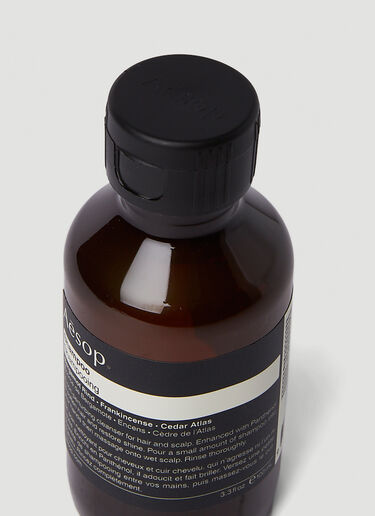 Aesop Shampoo Brown sop0351005