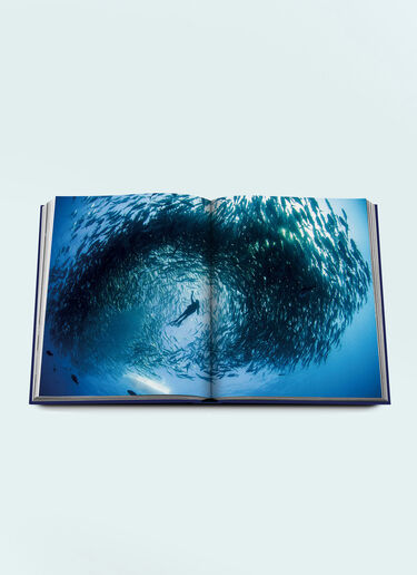 Assouline Ocean Wanderlust Blue wps0691687