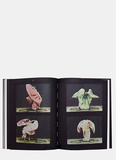 Books Birds Of Paradise Black don0590129