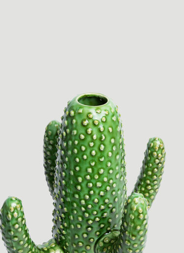 Serax Cactus Large Vase Green wps0644592