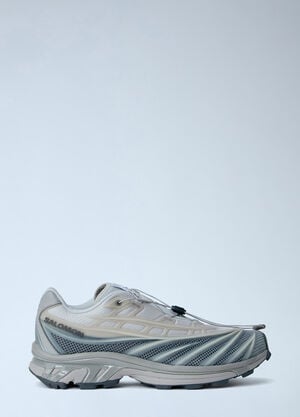 Salomon XT-Evo Sneakers Silver sal0365028