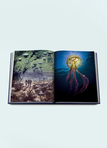 Assouline Ocean Wanderlust Blue wps0691687