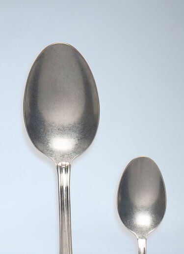 Cutlery Set: 24 Pieces Bitossi Home Cutlery Set: 24 Pieces Silver wps0692576