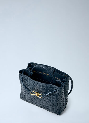 Bottega Veneta Medium Andiamo Handbag Blue bov0264013